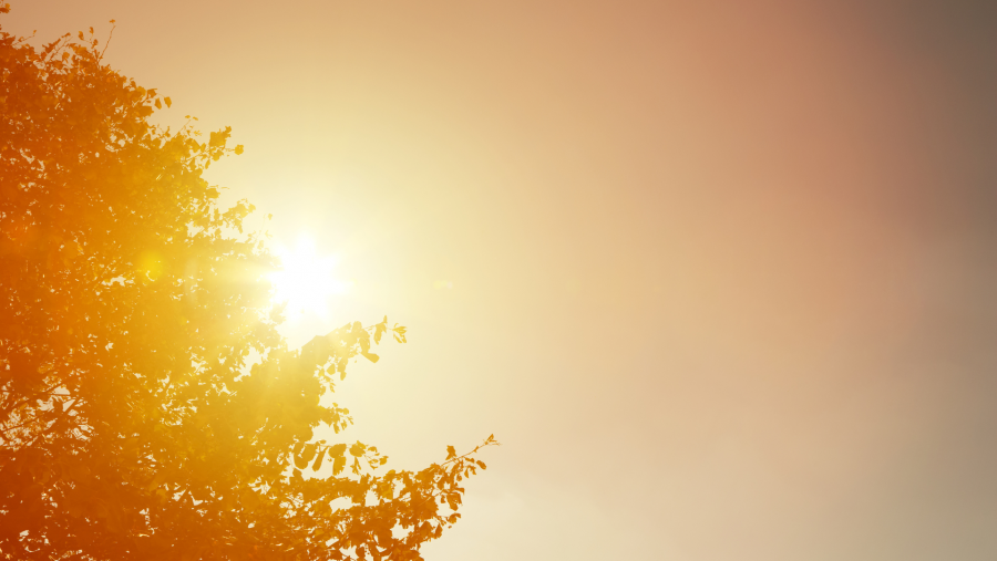 De xaneiro a maio de 2022, rexistráronse apenas 508 l/m2, un 54,7 % da chuvia que caería nestes sete meses nun ano medio na cidade. Imaxe: Canva