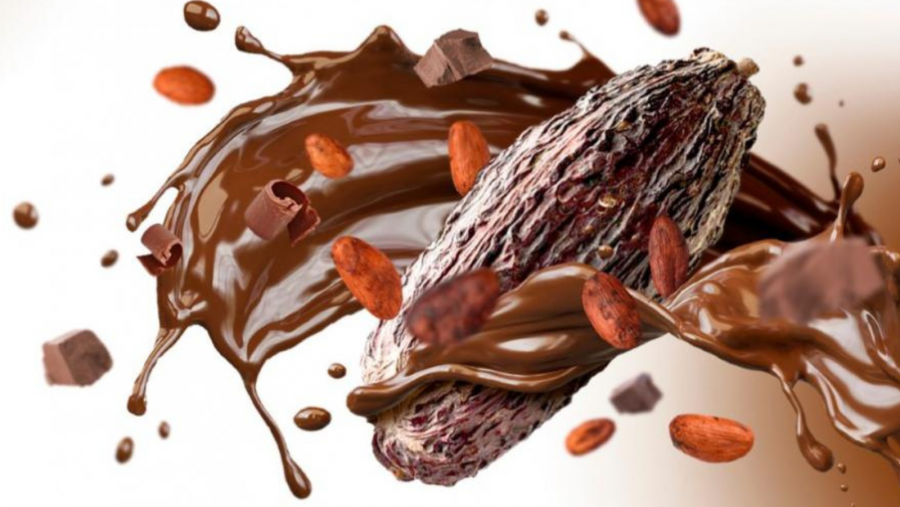 Detalle do cartel da actividade