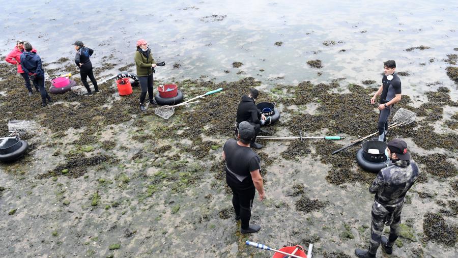 O marisqueo será unha das cuestións abordadas no foro. FOTO: Santi Alvite