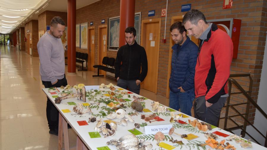 Persoas ollan a mostra de cogomelos aberta na EPS de Enxeñaría