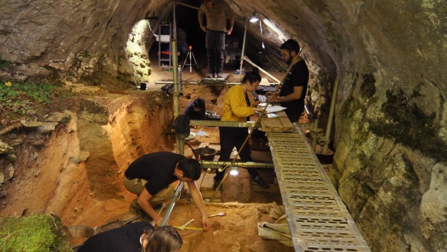 Imaxe de arquivo da investigación