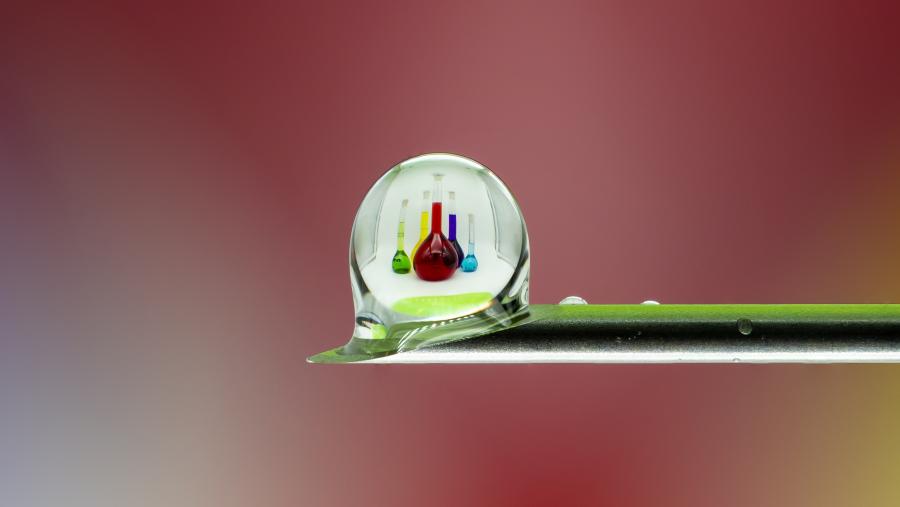 Na modalidade de fotografía, o primeiro premio foi para M. Pilar Vázquez Tato pola fotografía ‘Unha pinga de Ciencia’