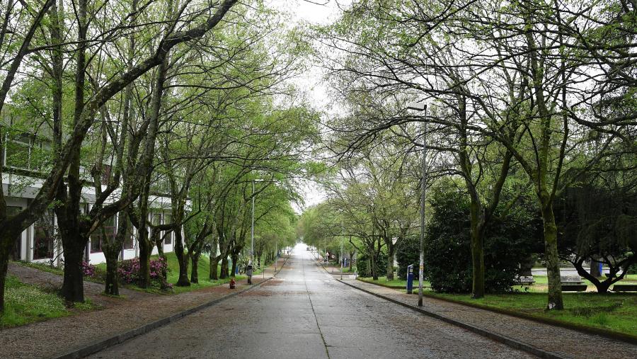 O obxectivo desta clasificación, impulsada pola Universidade de Indonesia, é reflectir os esforzos realizados polas universidades no desenvolvemento e implantación de políticas e programas respectuosos co medio ambiente e a sustentabilidade. FOTO: Santi Alvite