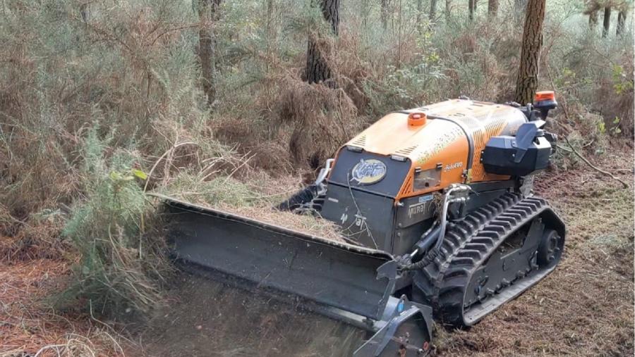 Robot empregado nun piñeiral de Begonte polo grupo operativo Cogomelo+