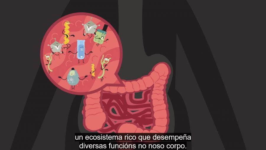 Captura dos subtítulos de Sandra Mariño Cortegoso