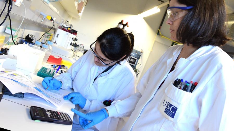 O Acelerador de Transferencia está aberto aos grupos de investigación de todas as áreas de coñecemento que teñan identificado algún resultado de investigación con potencial de transferencia. FOTO: Santi Alvite