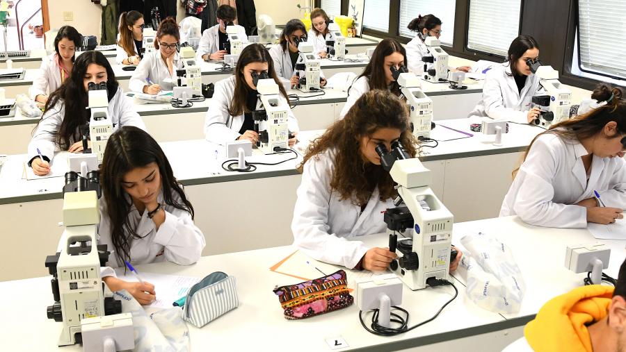 Clase práctica na Facultade de Veterinaria do Campus de Lugo. FOTO: Santi Alvite
