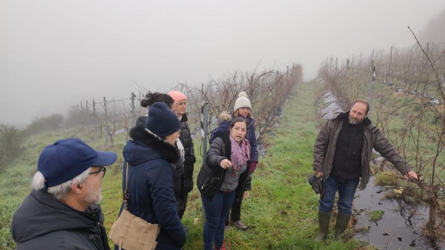 Berrios, á dereita, e Mosquera, explican técnicas de elminación de maleza na Viña de Experimental de Portomarín