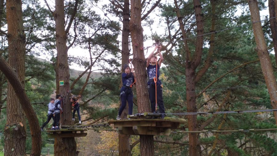 O programa superou con moito as previsións iniciais e encara unha nova etapa