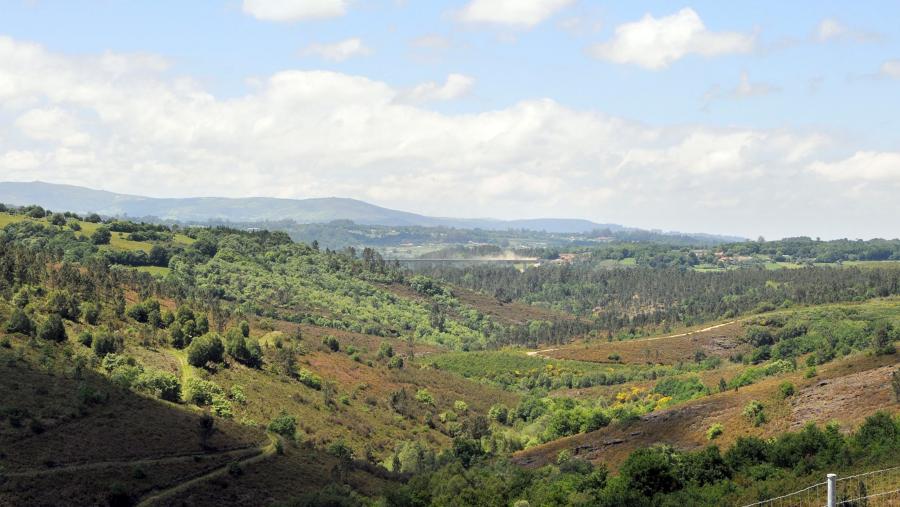 'Spanish Journal of Soil Science' acolle os traballos sobre medio ambiente 