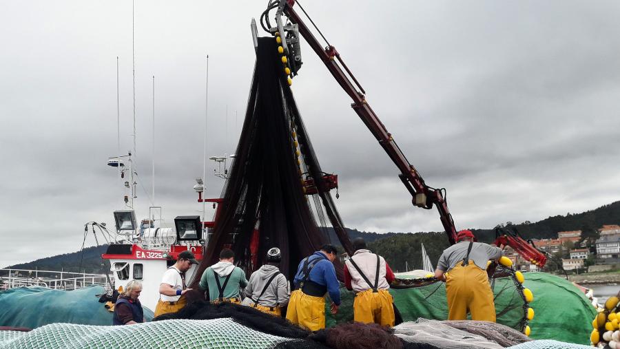 CIBBRINA, reunirá a membros de 14 países, pertencentes a diversos sectores implicados na cuestión, como a pesca, a comunidade científica, os gobernos e as ONGs. FOTO: Santi Alvite