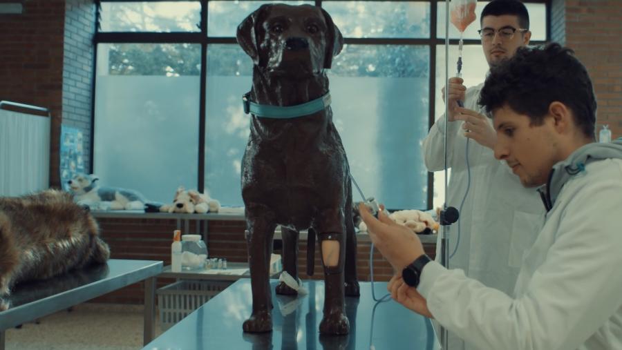 Veterinaria incorpora modelos animais de simulación