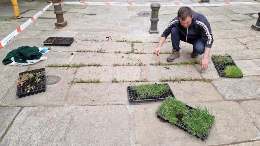 O obxectivo destes traballos é estudar o comportamento colonizador das plantas nas xuntas entre as laxes de pavimento