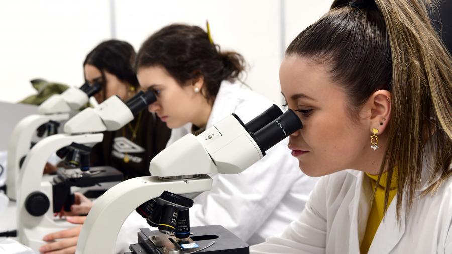 Imaxe de arquivo dunha clase práctica na USC. FOTO: Santi Alvite