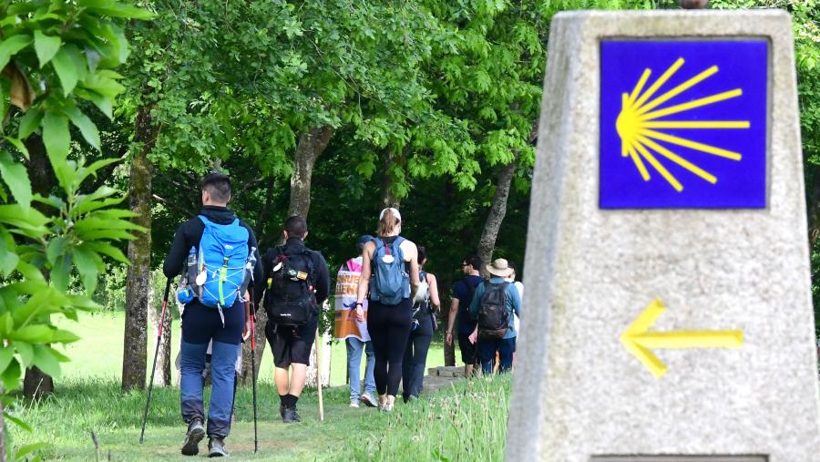 A Cátedra do Camiño é o resultado da colaboración entre USC e Turismo de Galicia da Xunta de Galicia. FOTO: Santi Alvite