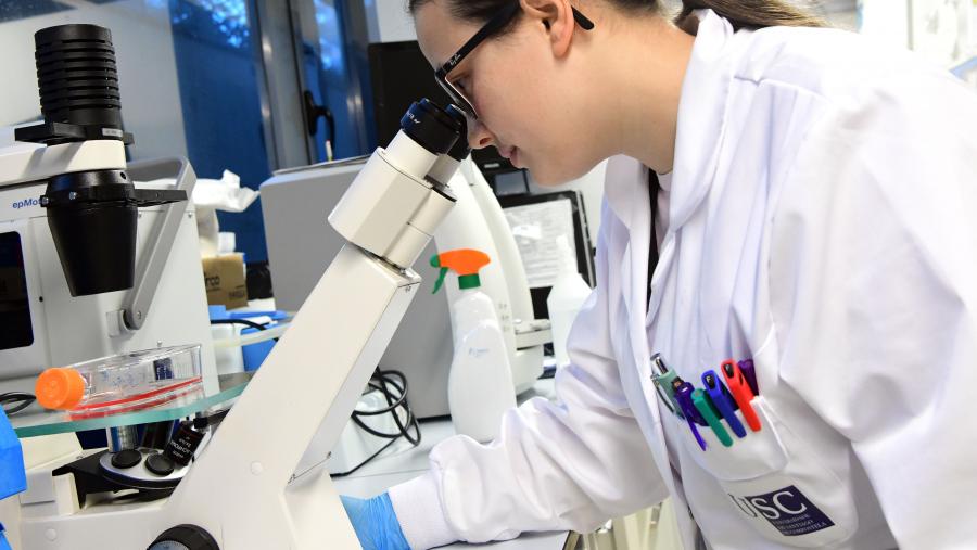 O rendemento investigador e a empregabilidade son os dous aspectos mellor valorados da USC. FOTO: Santi Alvite