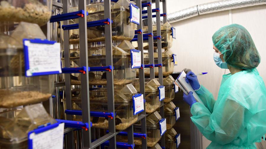 O CEBEGA é un dos centros contemplados no informe. FOTO: Santi Alvite