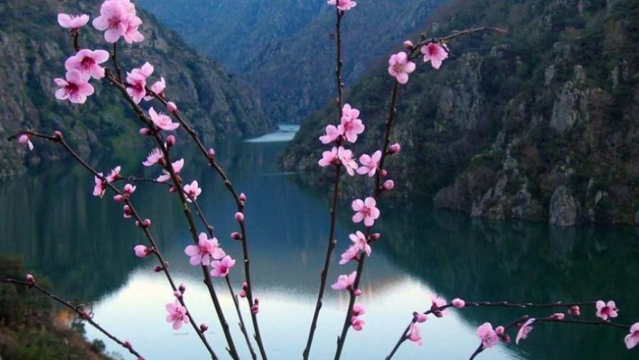 Imaxe da Ribeira Sacra