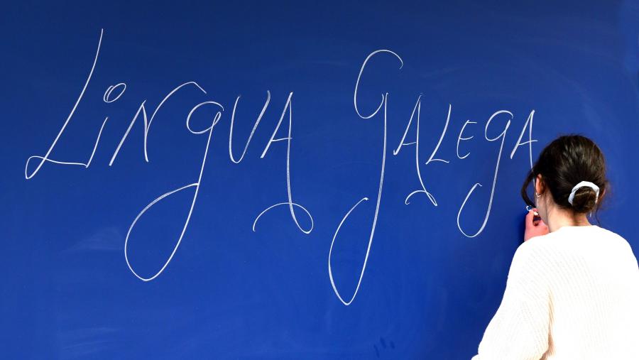 Por áreas de coñecemento, cómpre salientar o caso das Ciencias Sociais e Xurídicas onde a distribución entre galego e castelán é practicamente paritaria. FOTO: Santi Alvite