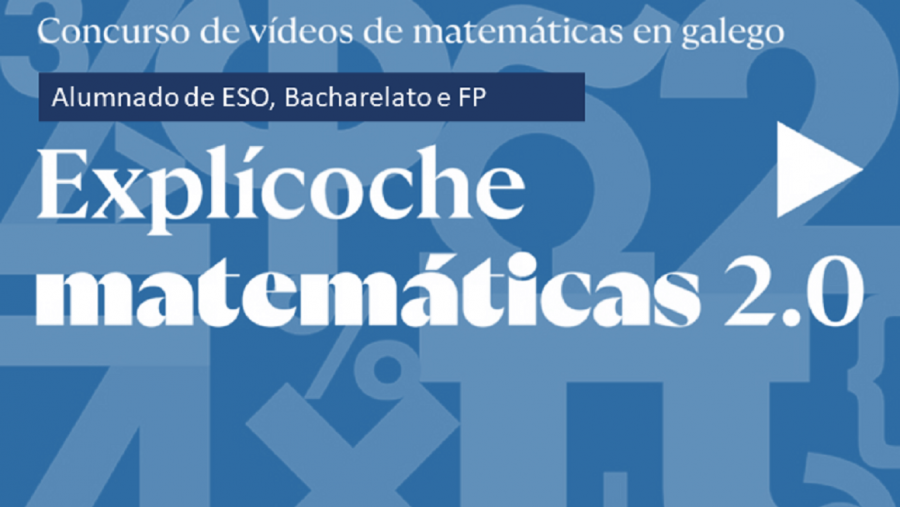 Detalle do cartel do certame 