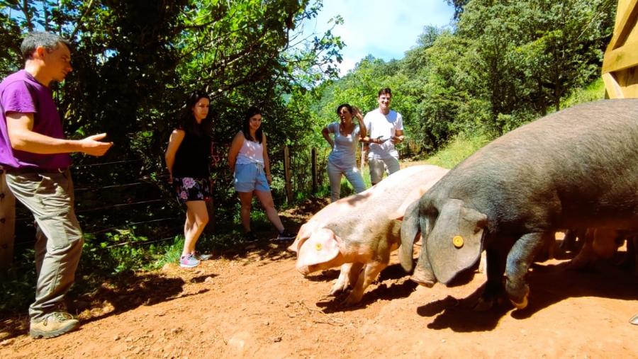 . Investigadores da USC visitando as instalacións da aldea modelo