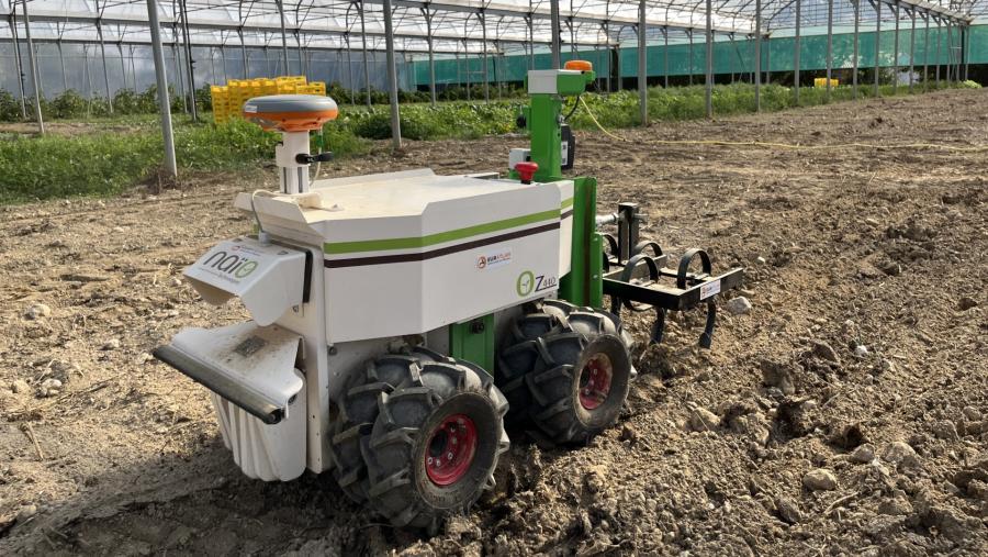 Modelo de robot OZ, nunha parcela hortícola