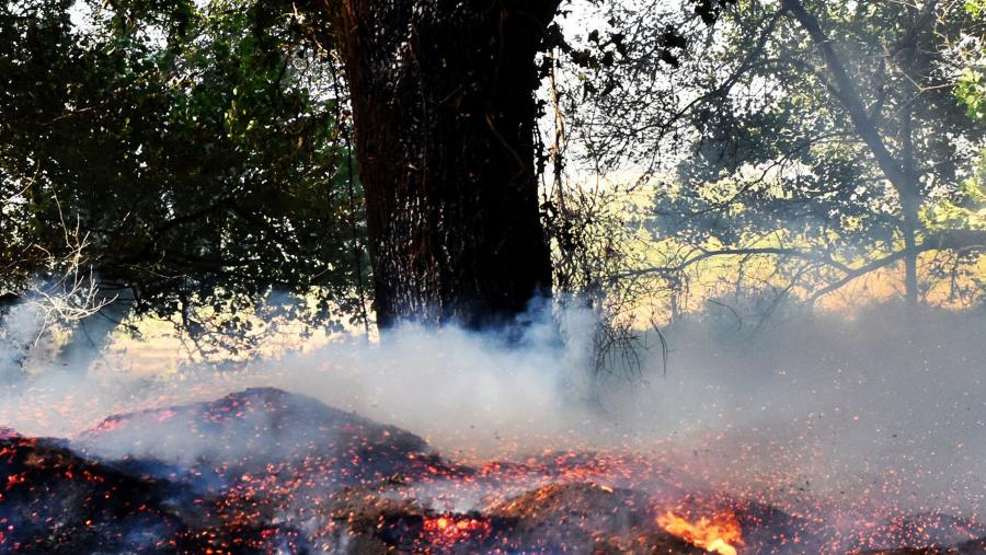 O investigador constatou o aumento significativo na velocidade de propagación por causa da redución da humidade dos combustibles asociada ao aumento da temperatura. FOTO: Santi Alvite