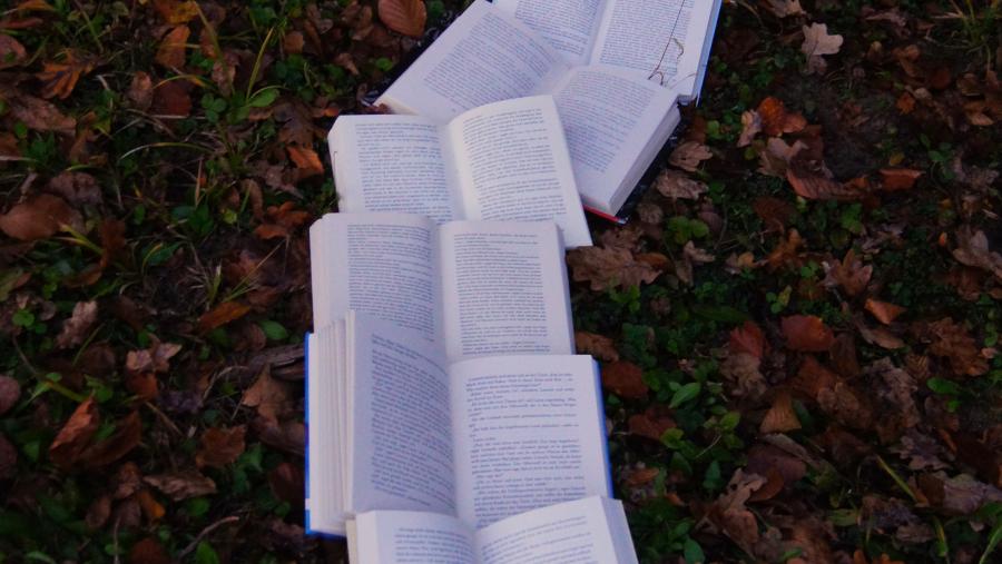 Imaxe: Laura Kapfer en Unsplash