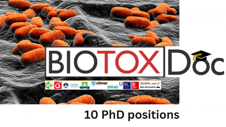 Imaxe do proxecto europeo de formacion de doutores BIOTOXDoc
