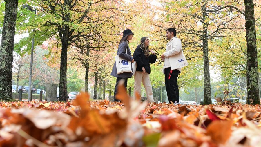 O outono prolongarase ata as 4.27 horas do 22 de decembro. FOTO: Santi Alvite