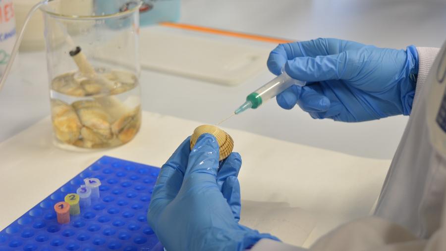 Estes resultados foron xerados no marco do proxecto europeo Scuba Cancers