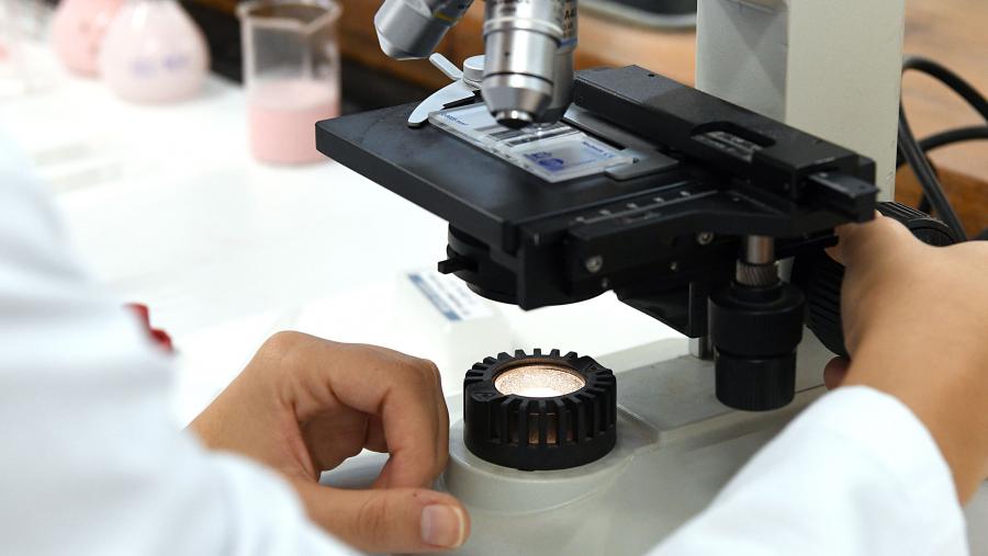 Esta é a sexta versión que se publica desta base de datos na que os científicos/as atópanse clasificados en 22 eidos de 174 subáreas. FOTO: Santi Alvite