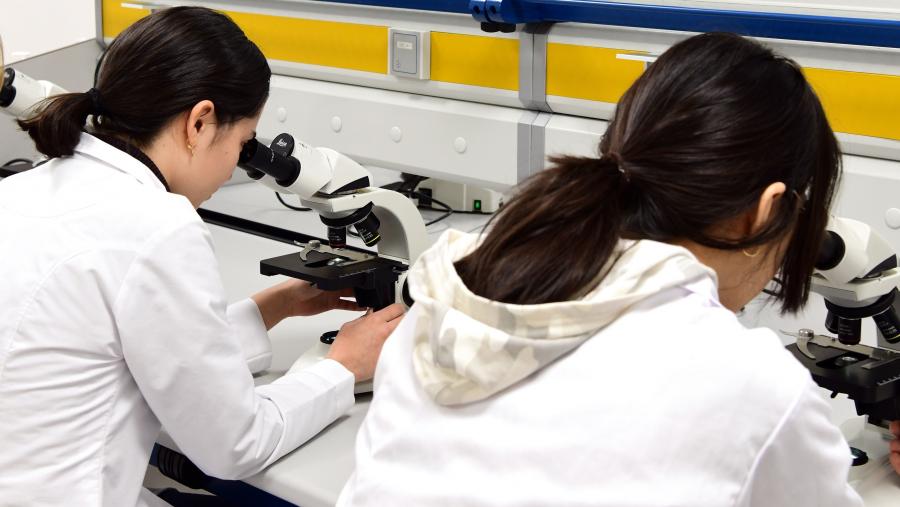 Un dos aspectos avaliados é a calidade da investigación. Imaxe de arquivo dun laboratorio da USC. FOTO: Santi Alvite