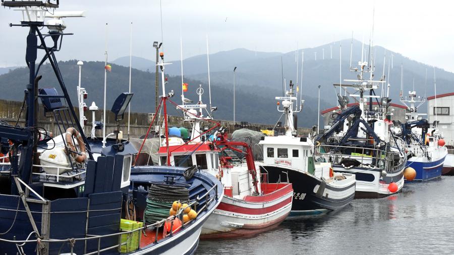 O taller contará con 45 participantes de organizacións nacionais e rexionais da pesca de pequena escala. FOTO: Santi Alvite