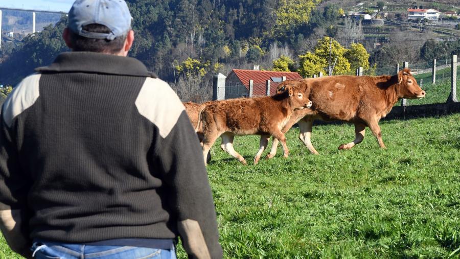 O premio quere mellorar a calidade de vida e o grao de benestar das persoas que viven no medio rural. FOTO: Santi Alvite