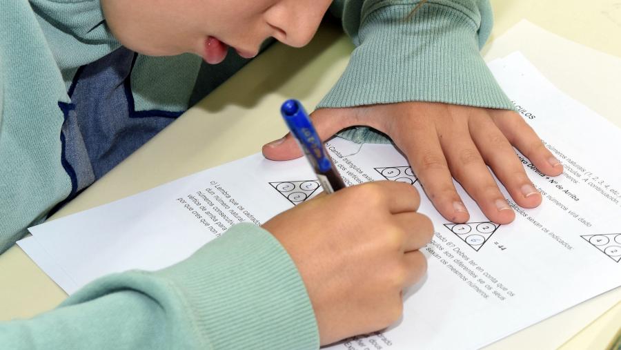 O Proxecto Estalmat-Galicia está pilotado por membros da Facultade de Matemáticas da Universidade de Santiago de Compostela e de distintos centros de ensino secundario de Galicia. FOTO: Santi Alvite