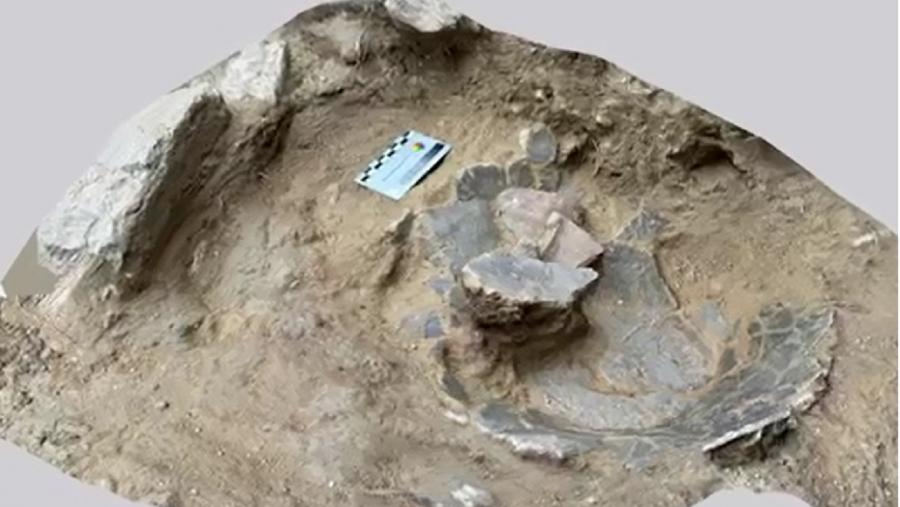 Imaxe escaneada do xacemento do Castrillón ou Corro dos Mouros, na parroquia de Adai, en Lugo