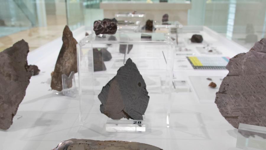 Detalle dunha vitrina da exposición. Foto: Marta Vázquez / MHN