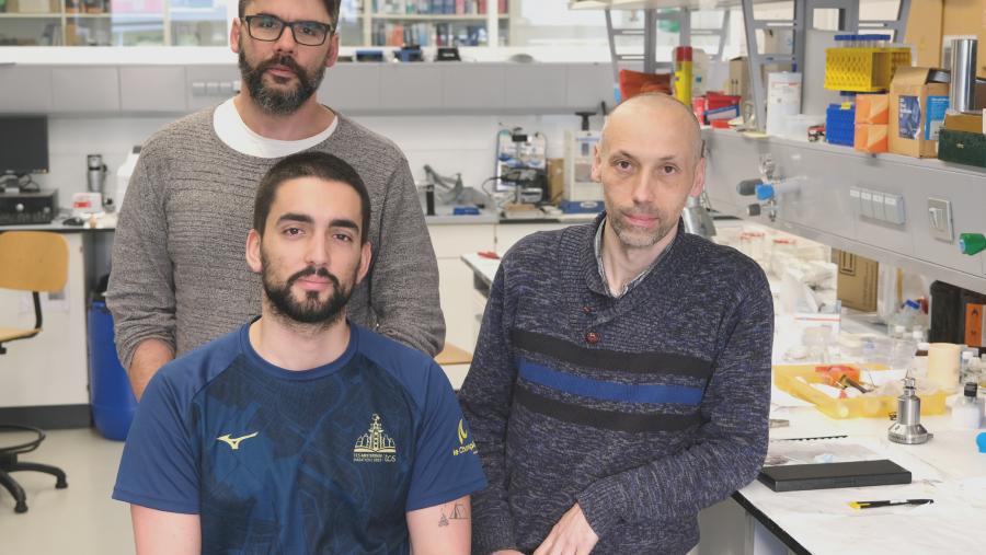 Os investigadores do CiQUS autores do traballo: Rafael Ramos (de pé), Víctor Álvarez (esq) e Víctor Leborán. Foto: CiQUS