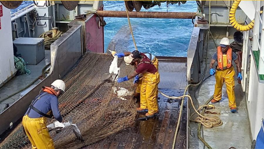 A USC lidera o paquete de traballo de planificación espacial mariña 