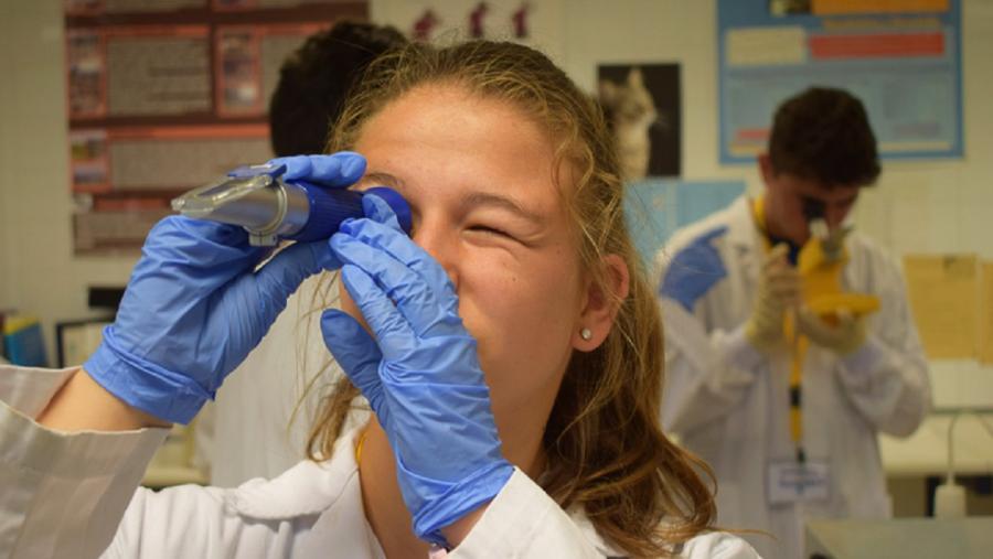O alumnado poderá elixir entre proxectos de tipo biosanitario, científico experimental, de ciencias sociais e humanidades. FOTO: XuvenCiencia