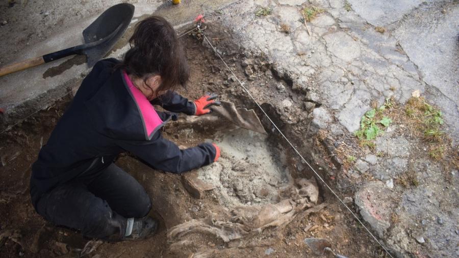 Os traballos estenderanse ata o 7 de xuño e contan coa colaboración do Concello de Mondoñedo 