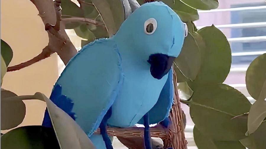 Bluffy, o loro aventureiro que axuda a transmitir coñecementos