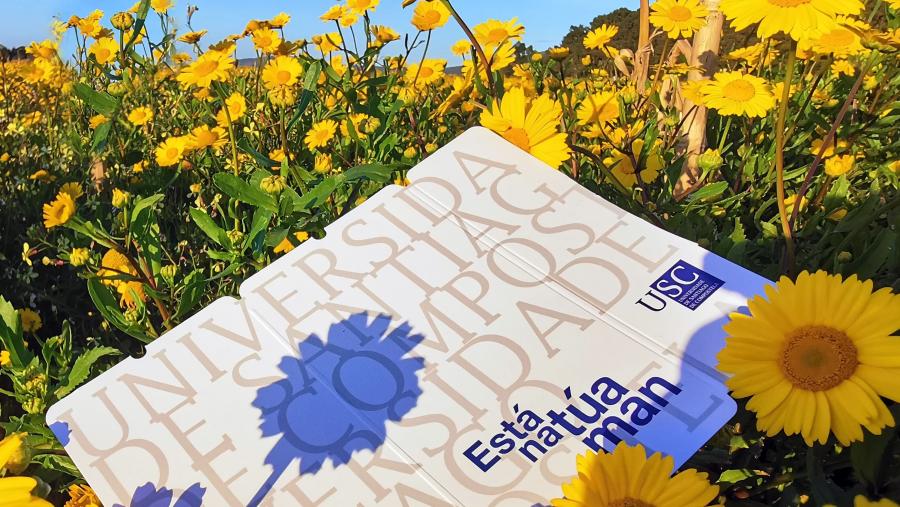 O prazo permanecerá aberto ata dez días antes do comezo de cada curso. Foto: Santi Alvite