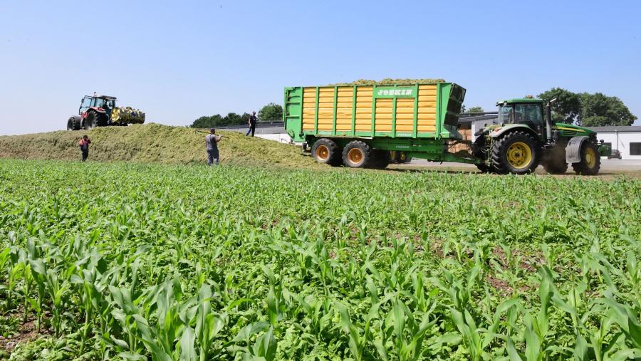 En 2023, o sector primario (agricultura e pesca) tivo unha diminución menor en Galicia que no conxunto de España, cunha variación de -0,6% en Galicia e de -2,5% en España. FOTO: Santi Alvite