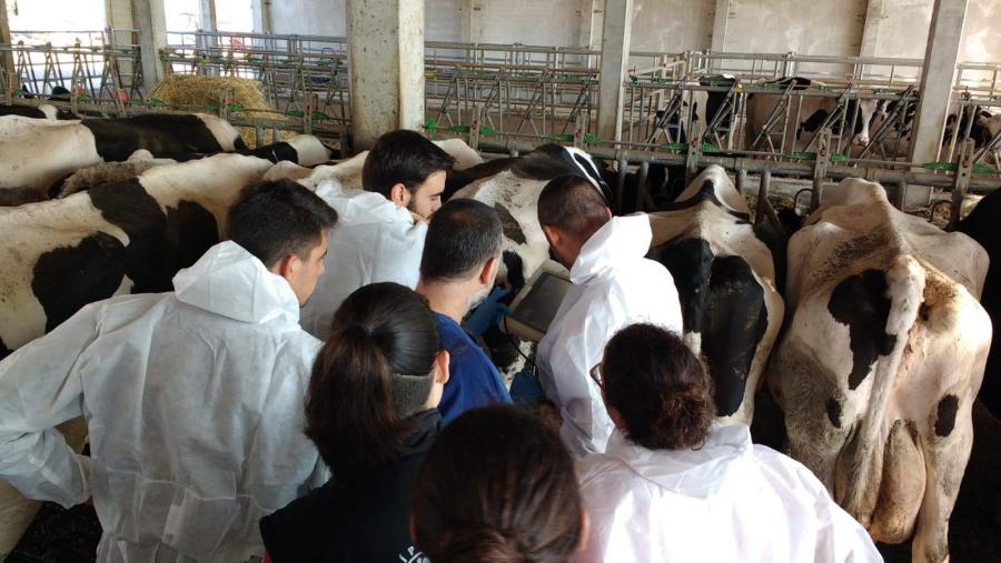 O mestrado oferta un total de 12 prazas