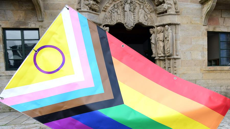No Día do Orgullo, a USC súmase novamente ao manifesto da RUD. Foto: Santi Alvite