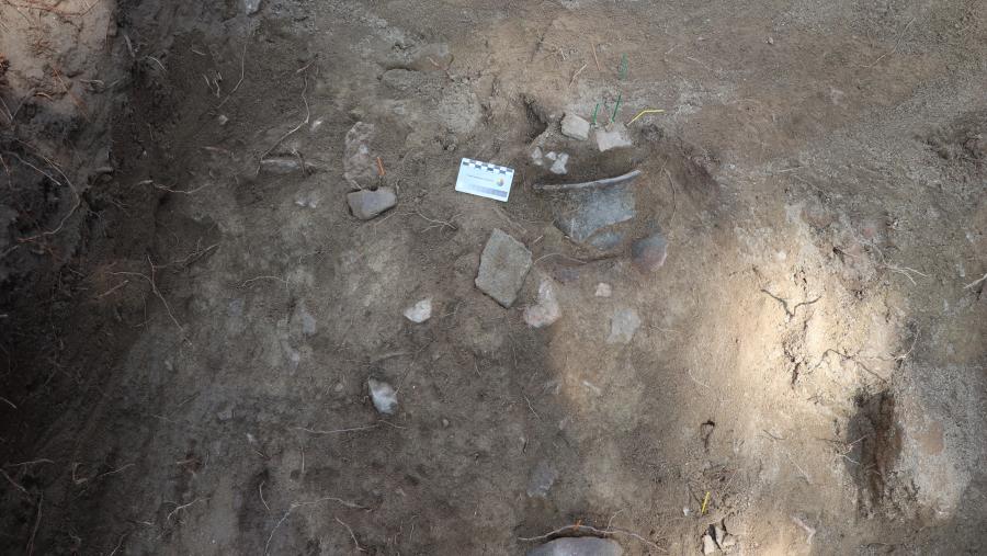 Detalle do xacemento