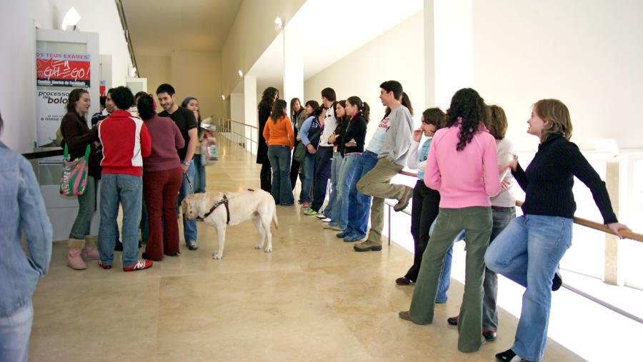 O factor con maior peso para decidir cursar estudos universitarios é a motivación persoal. Foto: Santi Alvite