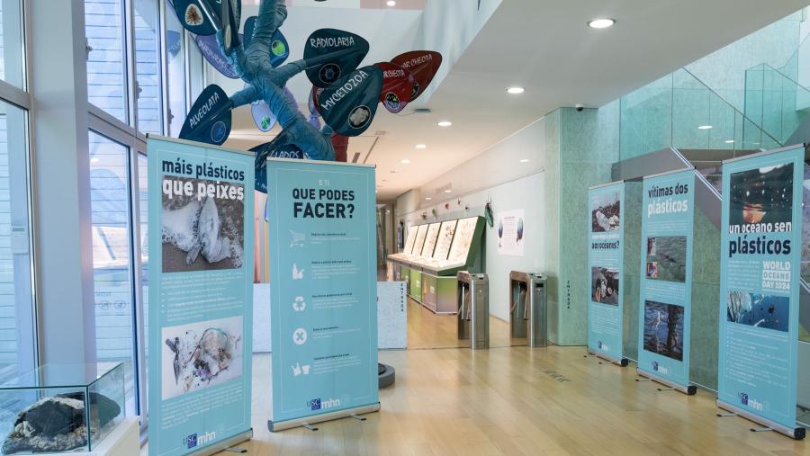 A mostra poderase ver ata finais de setembro